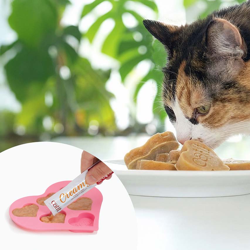 Snack Líquido para Gatos Senior Creamy Booster Atún Catit 4 x 10 g