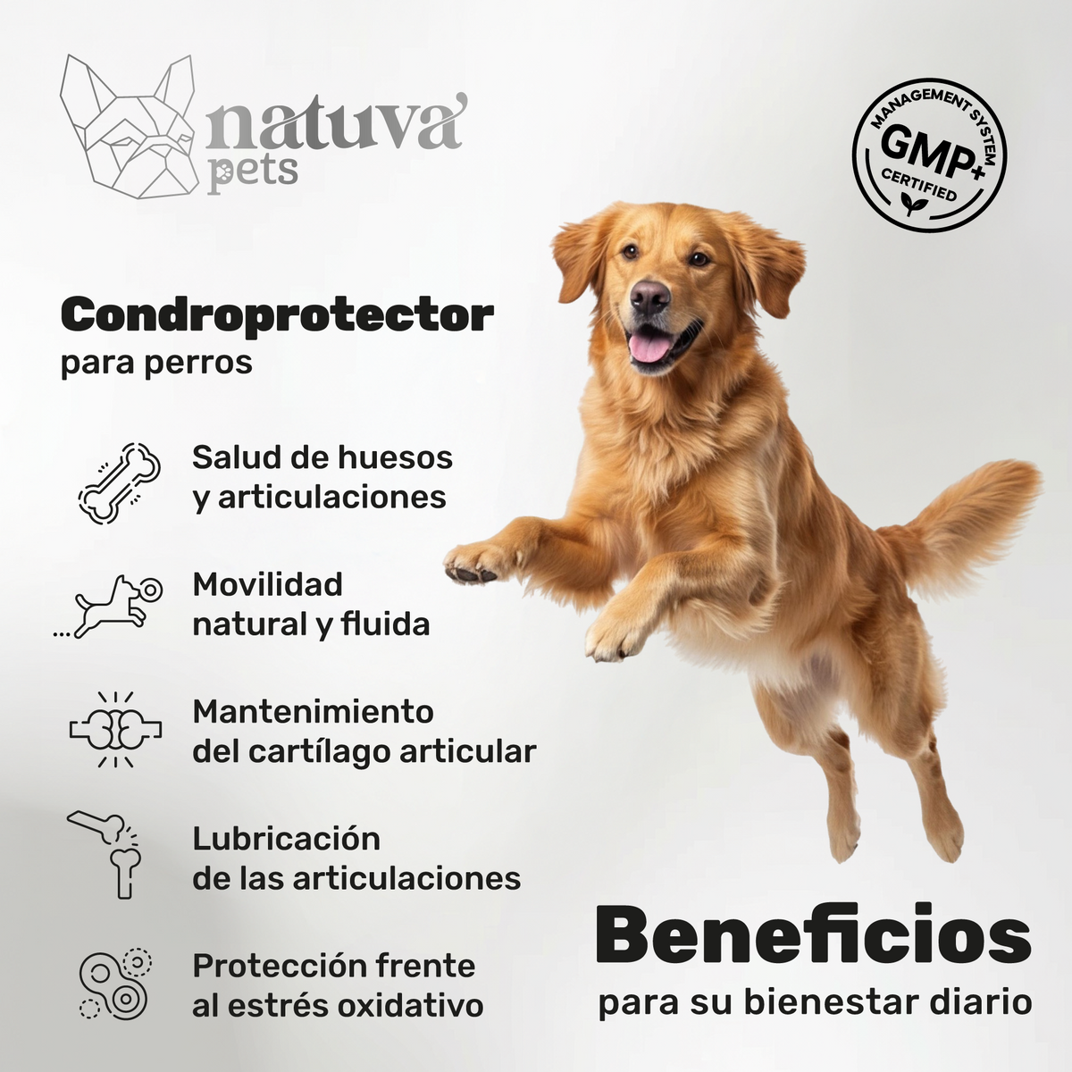 Pack 2x Condroprotector Para Perros. Movilidad Y Articulaciones. Suplementos Mascotas. 240 Masticables. Natuva Pets_1
