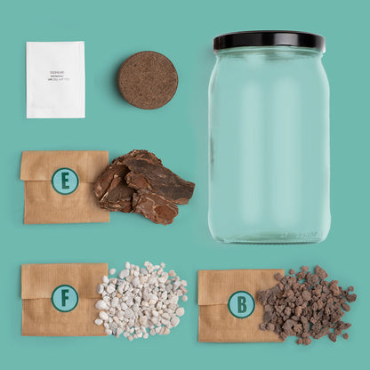 Kit Terrarium DIY – Mini Jardín Ecosistema Natural para Casa, Regalo Decorativo Original - Resetea_1