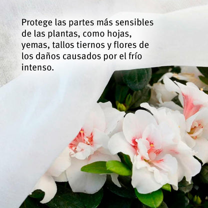 Tela protección de cultivos antiheladas Biotop 4 x 5 m 17 g/m²