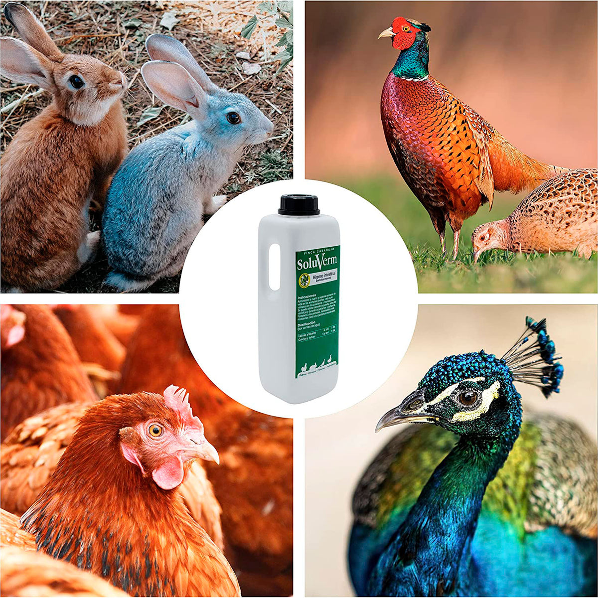 Soluverm - Desparasita Tus Gallinas, Faisanes Y Conejos Contra Parásitos Internos Tipo Vermes - 1 L_4