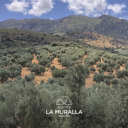 iOliva | Aceite De Oliva Virgen Extra | Variedad Hojiblanca | Olivar Tradicional | Botella 500 Ml. (caja De 6)_5