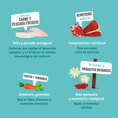 Tarrina de comida para perros con pollo ecológico y pescado sin cereales | Edgard &amp; Cooper 100 g