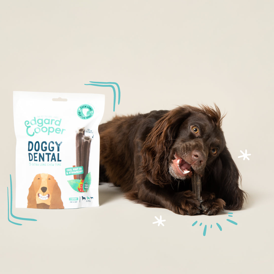 Dental de fresa y menta para perro adulto Edgard & Cooper 175 g