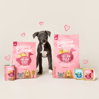 Lata de comida para cachorros de pato y pollo Sin Cereales | Edgard &amp; Cooper 400 g
