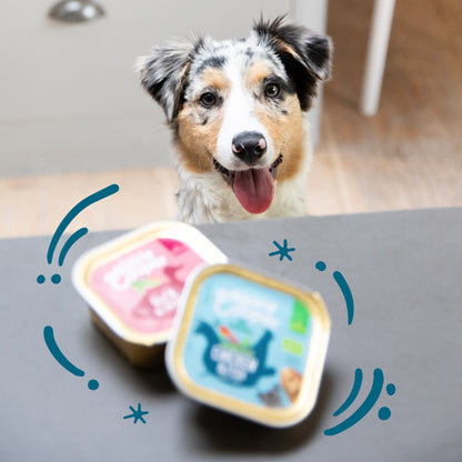 Tarrina de comida para perros con pollo ecológico y pescado sin cereales | Edgard &amp; Cooper 100 g