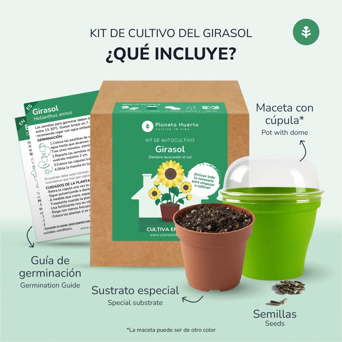 Kit de autocultivo Girasol Planeta Huerto
