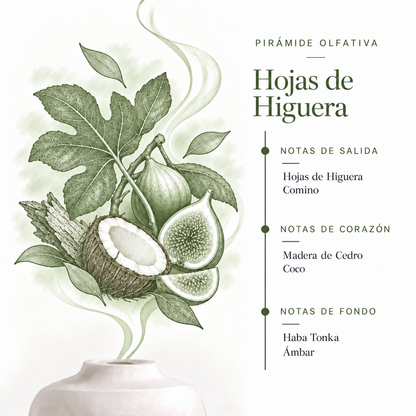 Esencia Hidrosoluble Hojas de Higuera SYS Aromas 50 ml | Aroma Frutal y Herbal | Para Humidificadores y Difusores_1