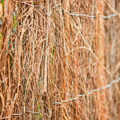 Brezo Ecológico Estándar - Tejido Natural Y Resistente - 1x5 M - Multicolor_2