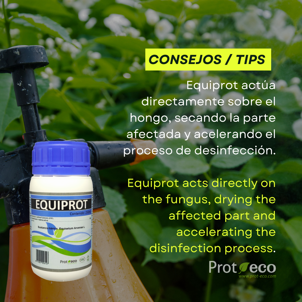 Fortificante ecológico de cola de caballo para plantas Equiprot Prot-eco 100 ml + pipeta dosificadora 5 ml gratis_2