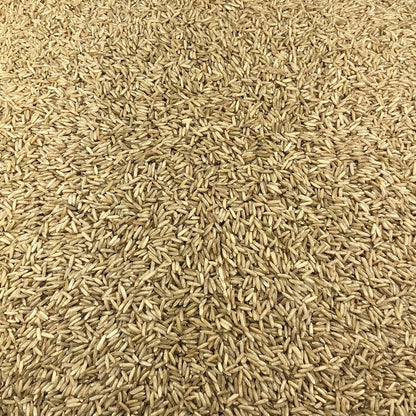 Arroz Integral Ecológico Granel 25 Kg_2