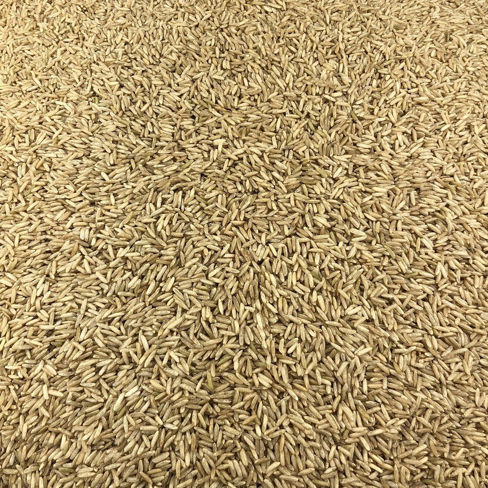 Arroz Integral Ecológico Granel 1 Kg_2