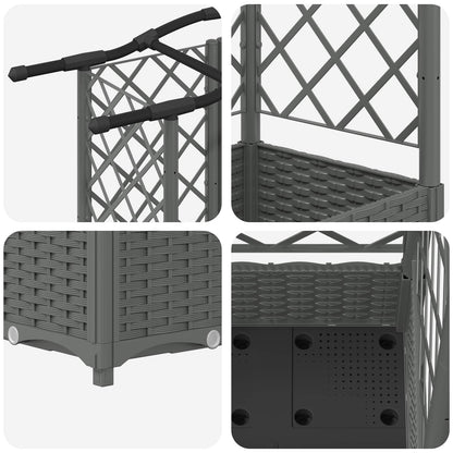 Cama Elevada Con Trellis Y Techo Gris Claro 203,5 X 40 X 123 Cm_5