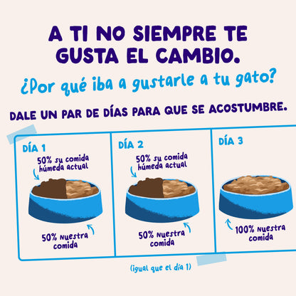 Sobres de comida húmeda para gatos Captura del Día Selección de Pescado en Salsa | Edgard &amp; Cooper 85 g