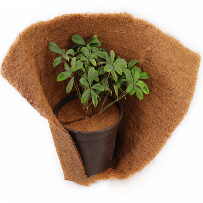 10 Discos Mulching De Coco 37cm Estera De Fibra De Coco Estera Protectora De Plantas De Fibra De Coco Coco_5