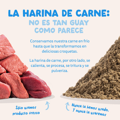 Pienso para perros Salmón Noruego Edgard &amp; Cooper 7 kg