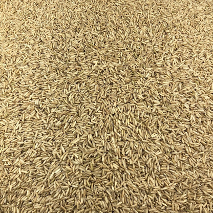 Arroz Basmati Integral Ecológico A Granel 1 Kg_2