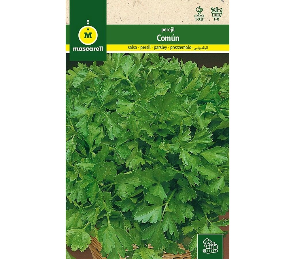 Semillas Perejil Común_0
