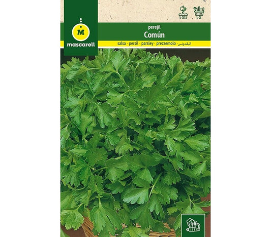 Semillas Perejil Común_0