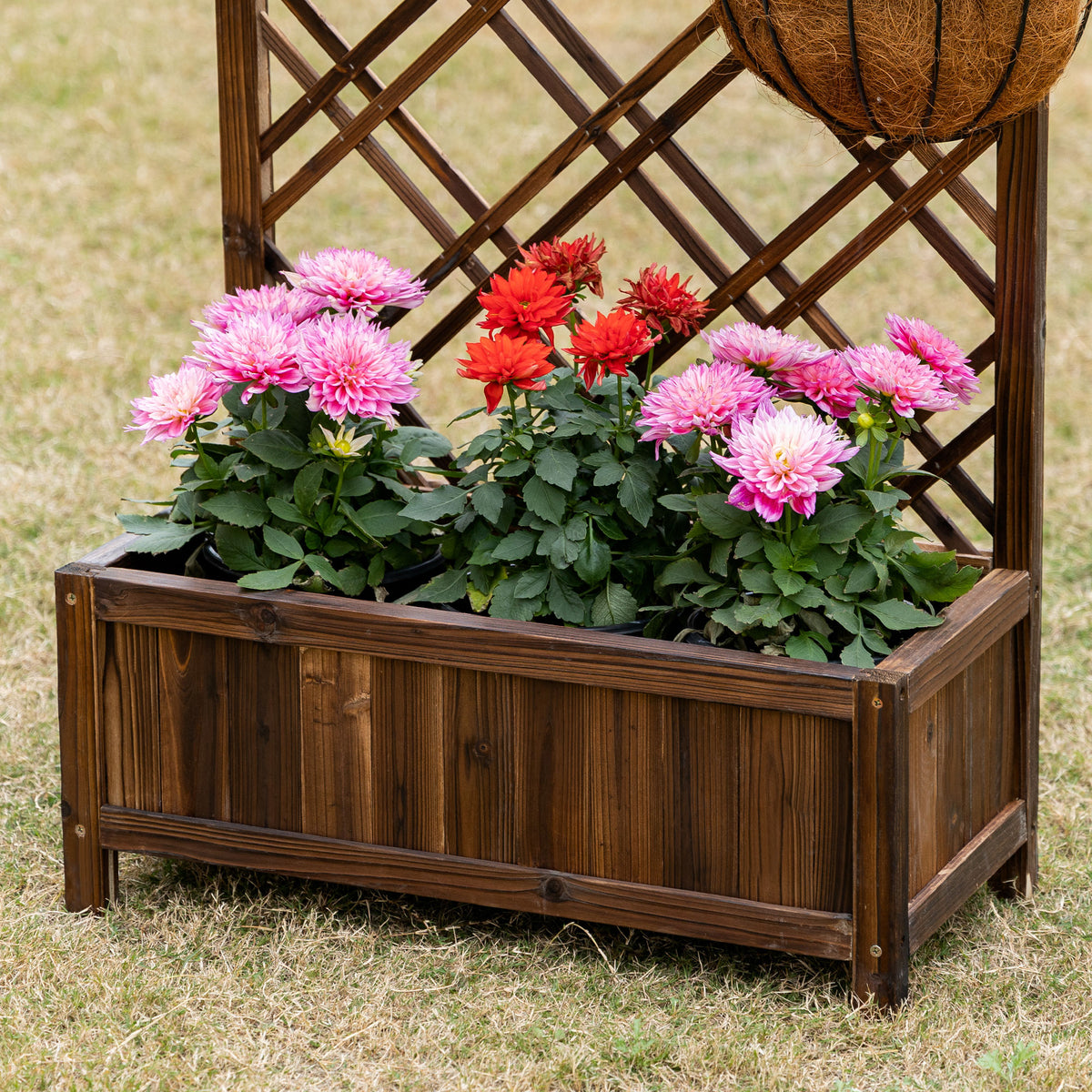 Jardinera Con Enrejado De Madera Outsunny 60x30x122,5 Cm Marrón_4
