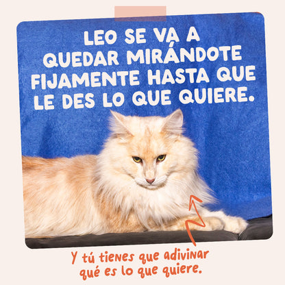 Sobres de comida húmeda Pollo en Salsa para Gatos Adultos | Edgard &amp; Cooper 85 g