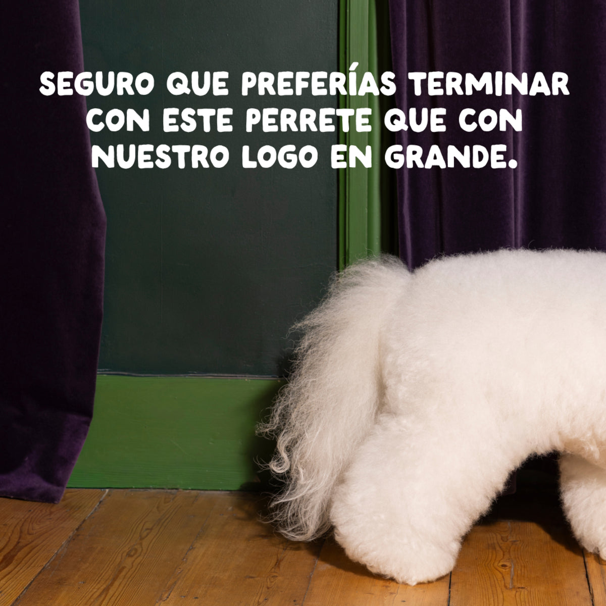Pienso para perros Pollo de corral Edgard & Cooper 7 kg