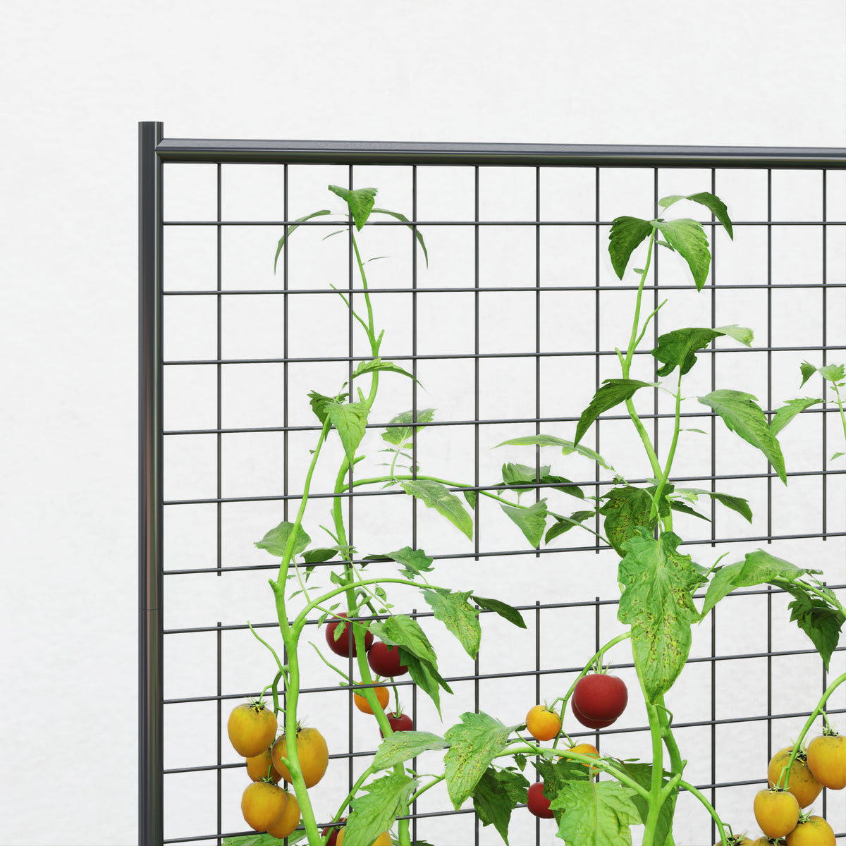 Jardinera Con Celosía Outsunny Acero Galvanizado Gris Oscuro 80x115x125 Cm_3
