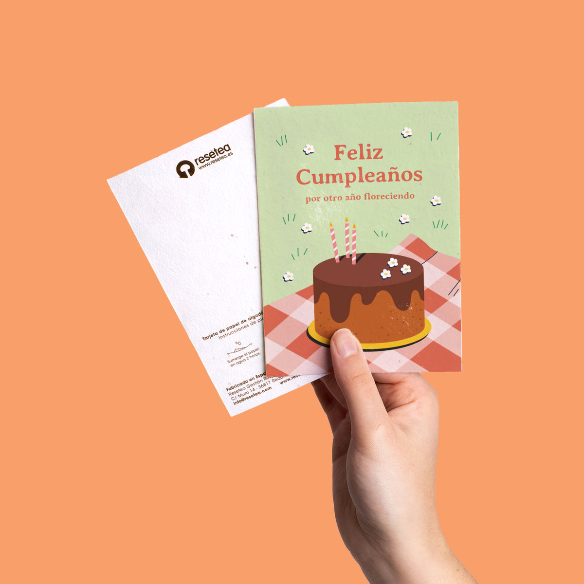 Postal Plantable Feliz Cumpleaños con Semillas de Manzanilla – Felicitación Original - Resetea_3
