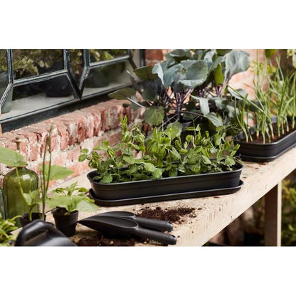 Bandeja de cultivo Green basics Elho Antracita M