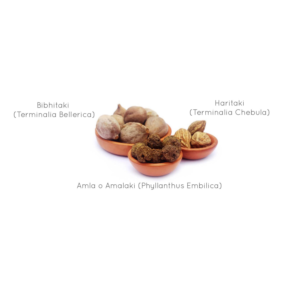 Triphala Organic India 90 caps