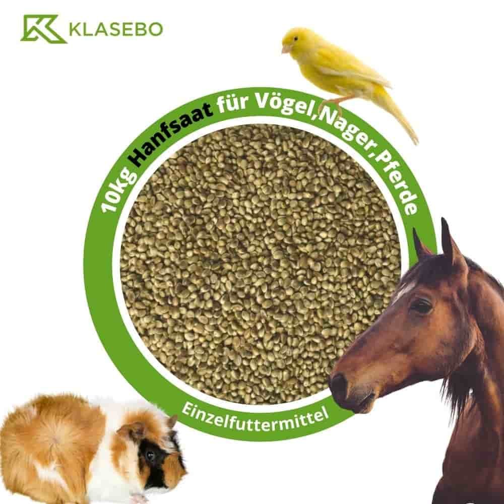 Semillas De Cáñamo 10kg Para Aves, Roedores Y Caballos_0
