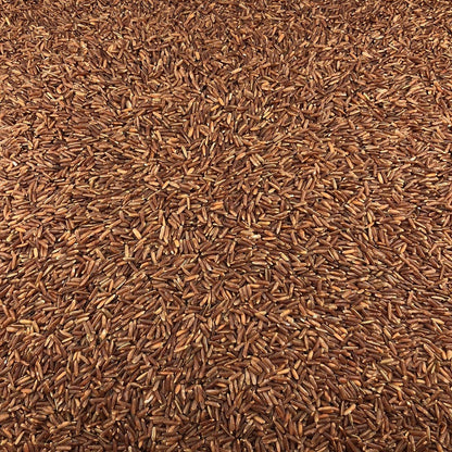 Arroz Rojo Ecológico Granel 10 Kg_2