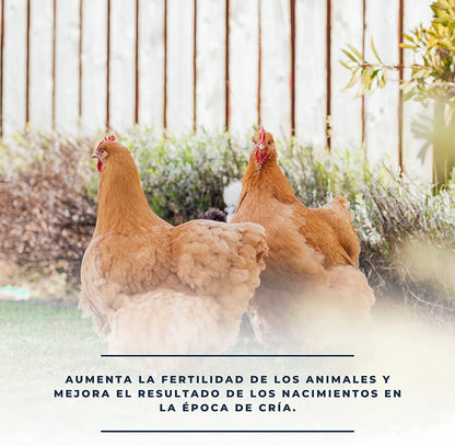 Solufértil 250ml - Reproducción Aves - Vitamina E, Selenio Y Oligoelementos Esenciales Durante La Época De Puesta_3