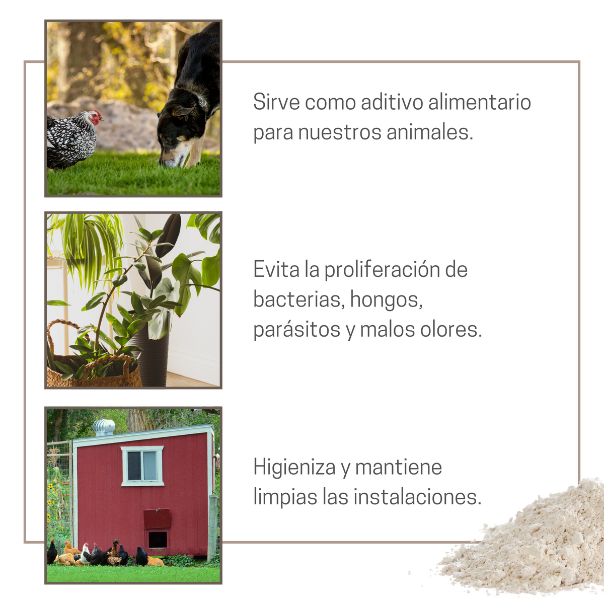 Tierra De Diatomeas Para Ayudar A Mantener El Gallinero Libre De Parásitos - Producto Natural - Saco De 20kg_3
