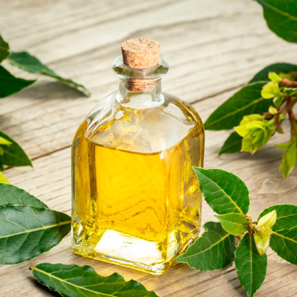 Pack 10 Jabón Natural De Laurel - Para Piel Grasa, Con Acné - Regula El Exceso De Grasa - Alivia Irritaciones Y Picores_1