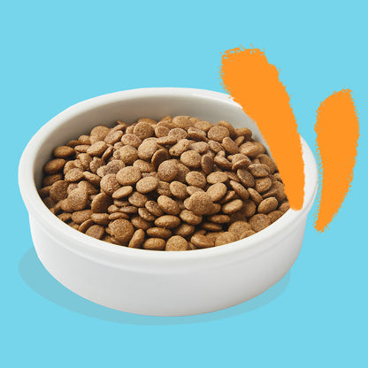 Pienso para gatos Pollo Fresco de Corral Edgard &amp; Cooper 4 Kg