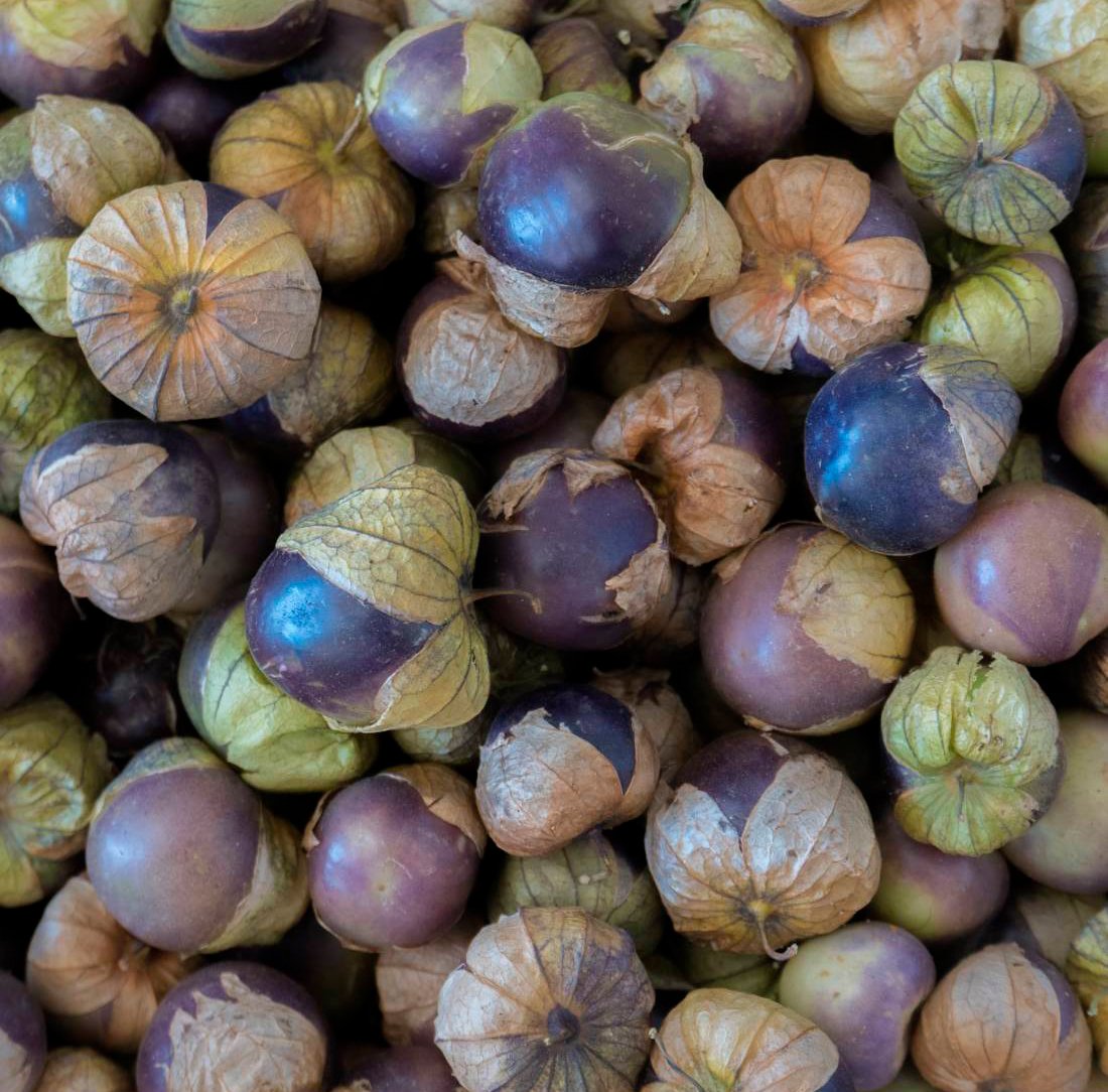 Semillas Tomatillo Morado Ecológicas_0