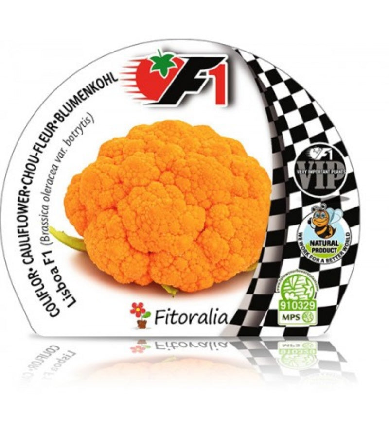 Pack Plantones Coliflor Híbrida F1 Naranja Lisboa 6 Ud. Natural - Fitoralia_0