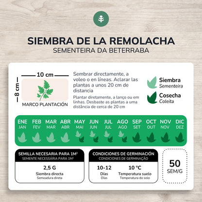 Semillas de Remolacha Detroit 2 ecológicas Planeta Huerto