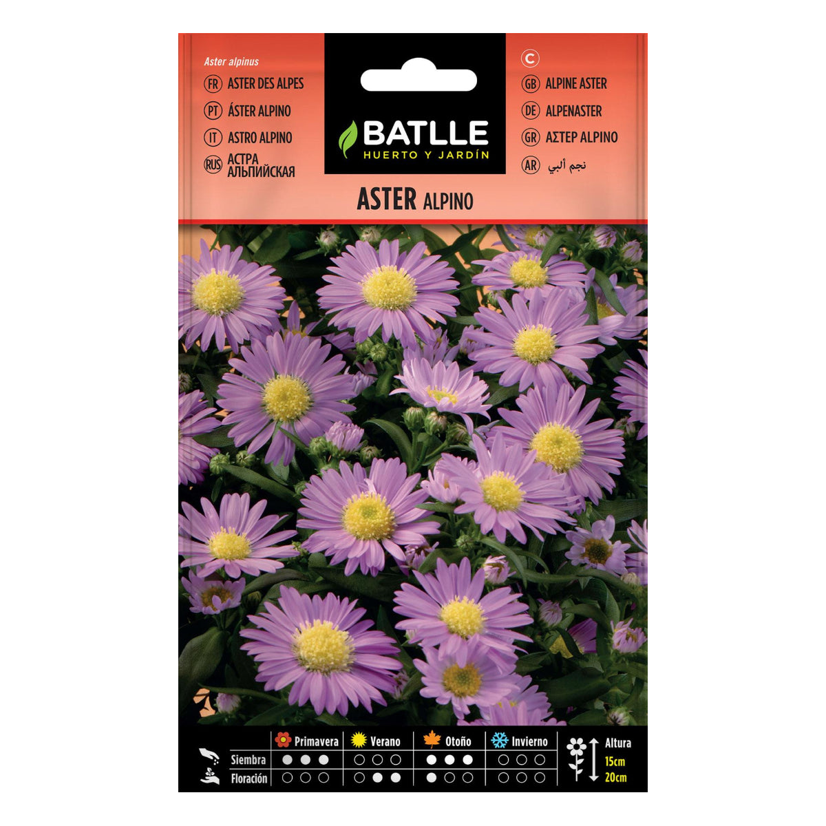 Semillas de Aster Alpino Batlle