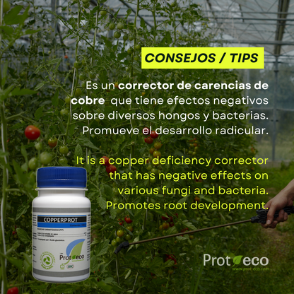 Copperprot Prot-eco – corrector de cobre ecológico para plantas contra hongos y mildiu + pipeta 5 ml gratis_1