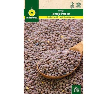 Semillas Lenteja Pardina_0