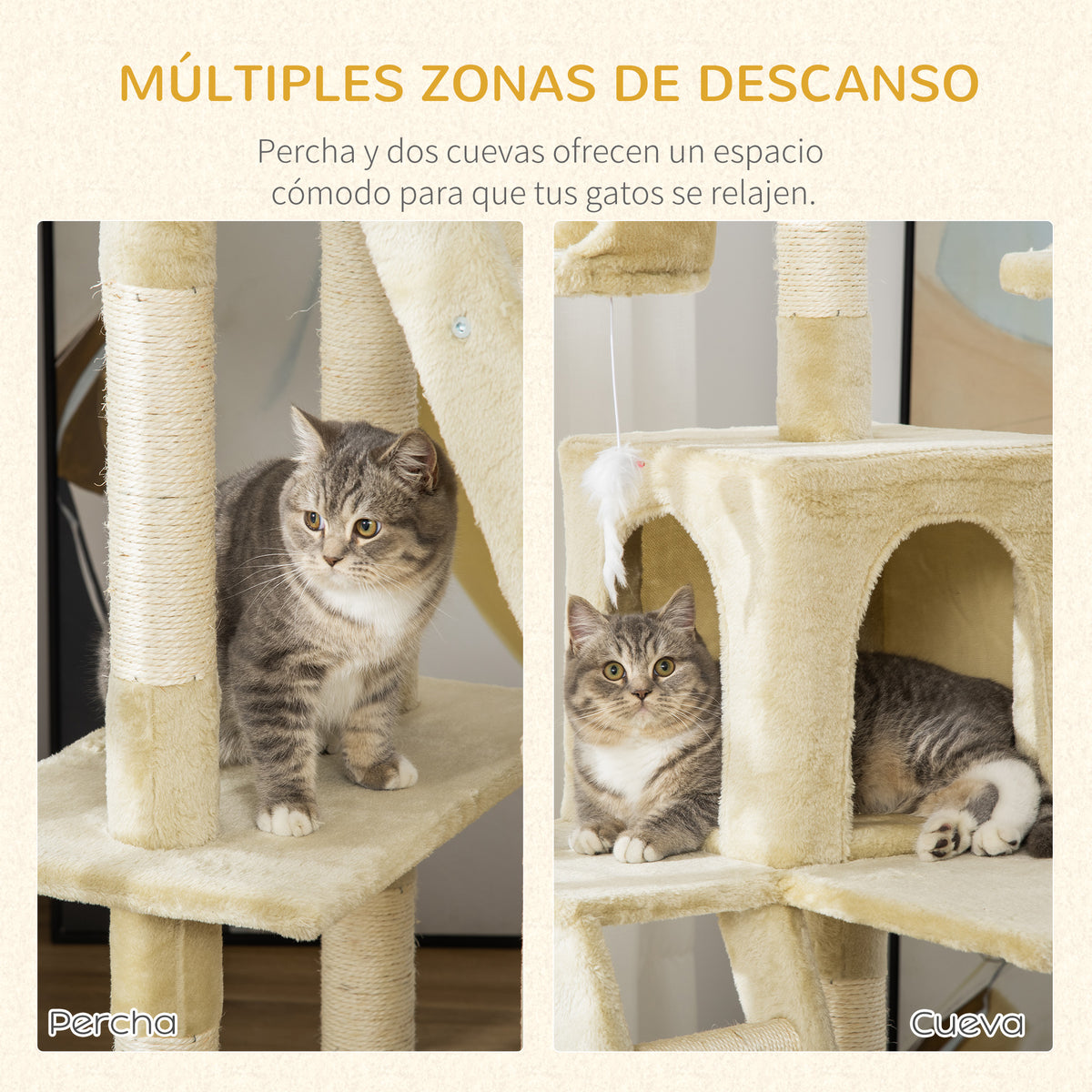 Pawhut Rascador Árbol Para Gatos Grande 60x50x181cm Con Poste Escaleras Cuevas_4