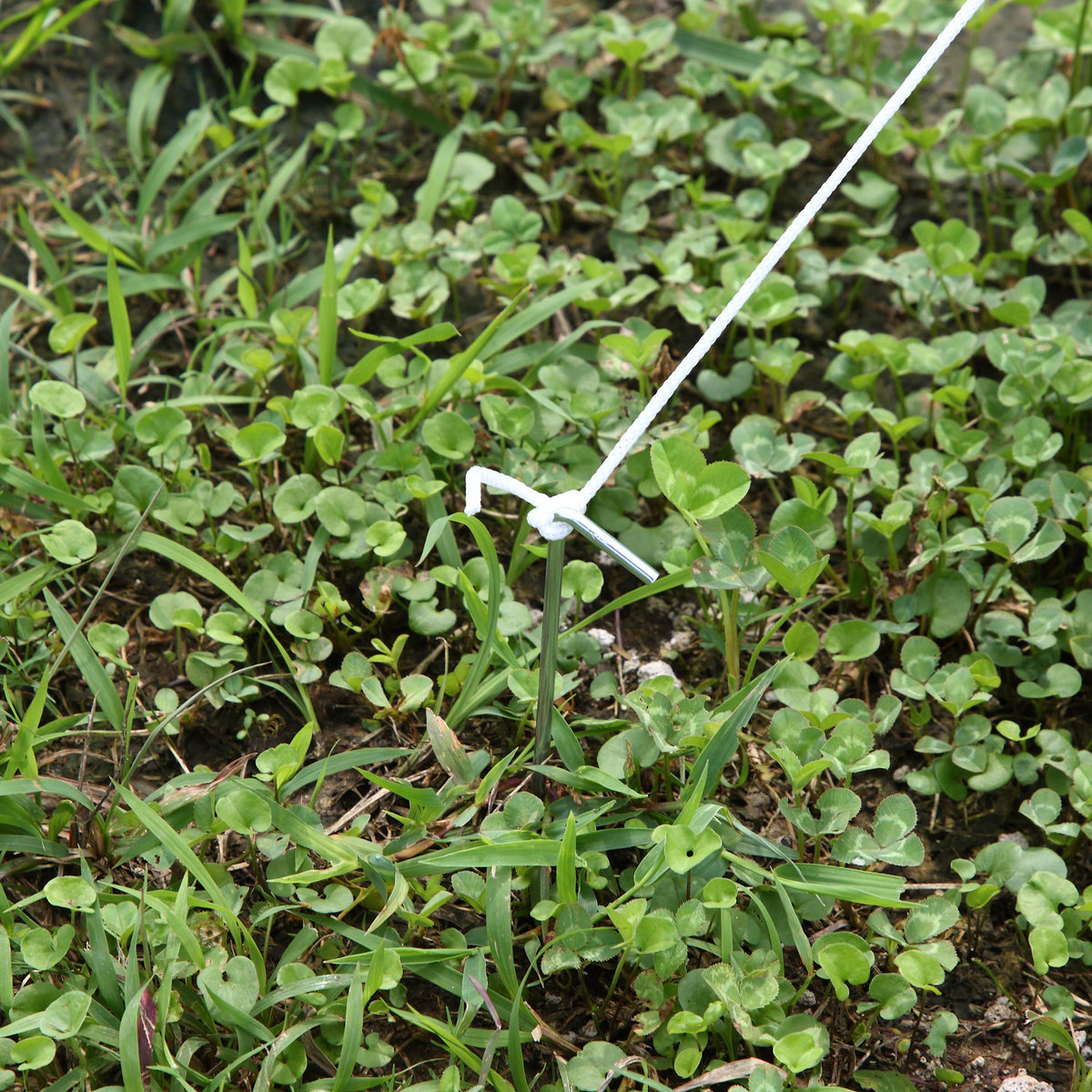 Invernadero De Túnel Con 6 Ventanas Outsunny 400x200x200 Cm Blanco_4