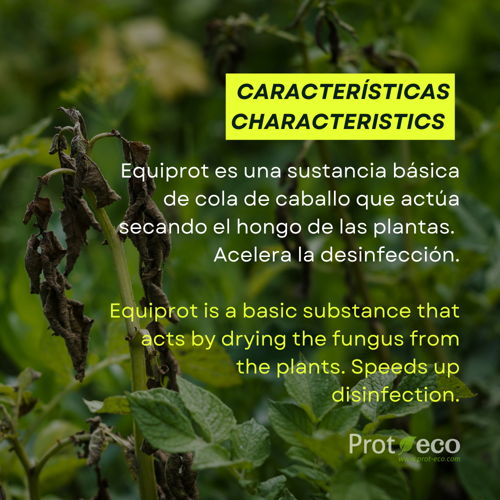 Fortificante ecológico de cola de caballo para plantas Equiprot Prot-eco 100 ml + pipeta dosificadora 5 ml gratis_3