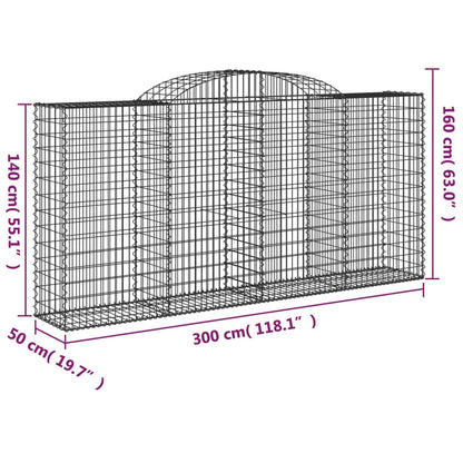Cestas Gaviones 10 Uds Forma De Arco Hierro 300x50x140/160 Cm_5