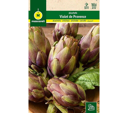 Semillas Alcachofa Violet De Provence_0