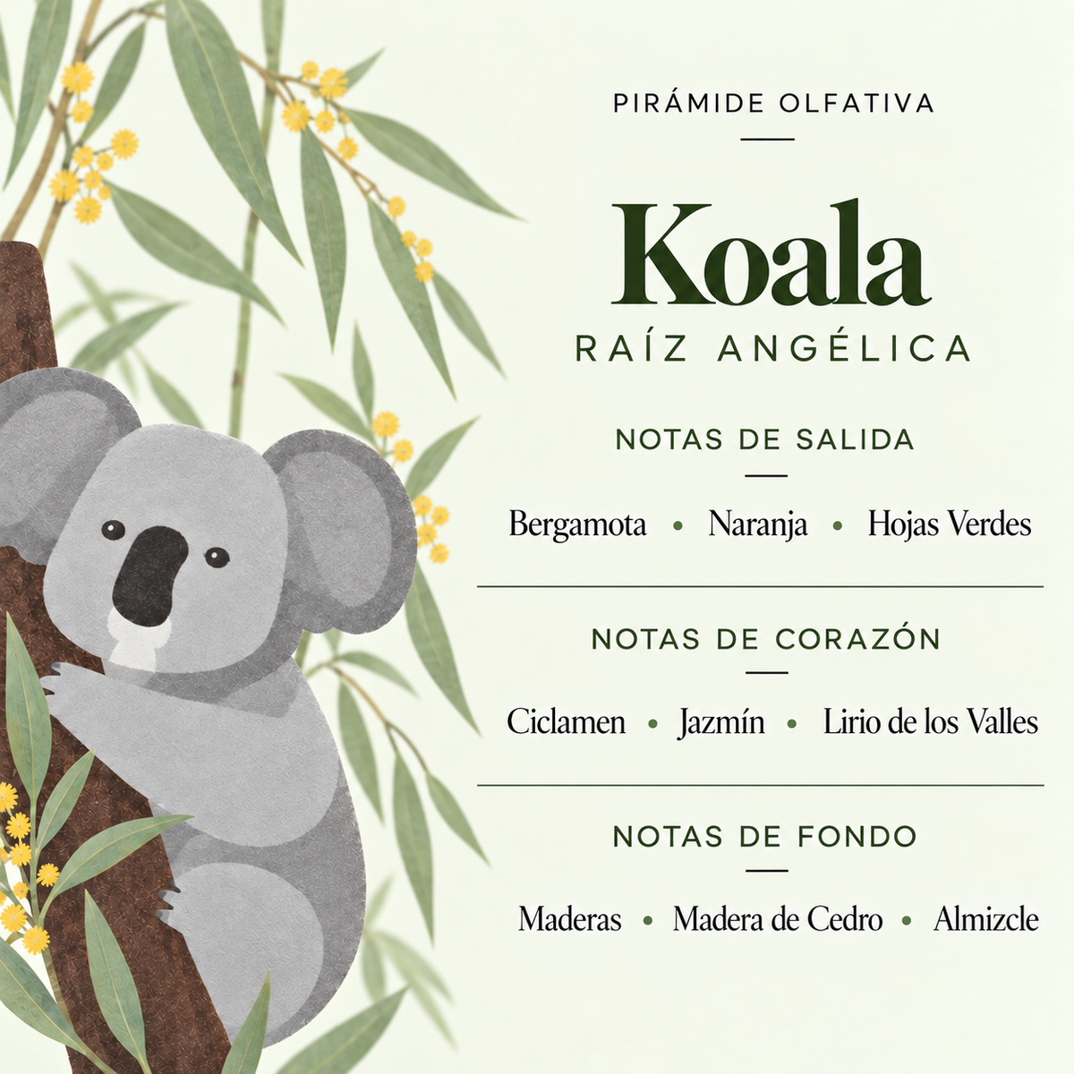 Ambientador Difusor Koala Raíz Angélica Wild Animal SYS Aromas 90 ml | Herbal y Balsámico | Refrescante_1