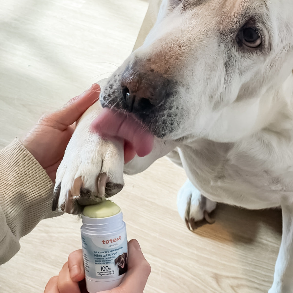 Stick hidratante natural nariz y almohadillas para mascotas Totem Naturals 30 g