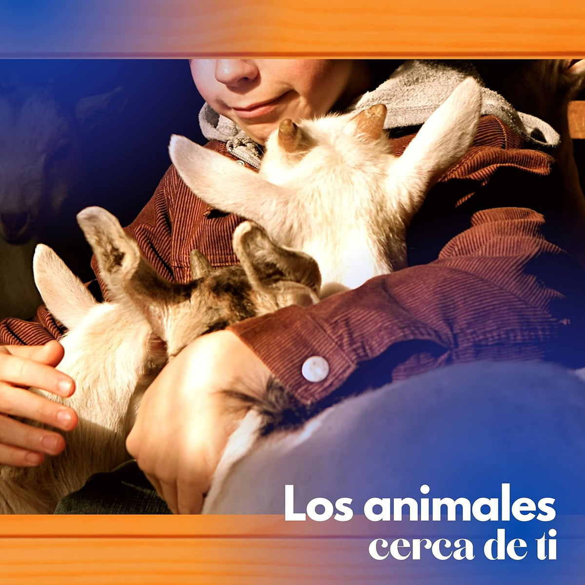 Gallinero Para Pavos Y Otras Grandes Aves - Caseta Para Animales - Refugio Para Cabras Y Ovejas_4